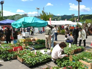 e0097615_1633651.jpg