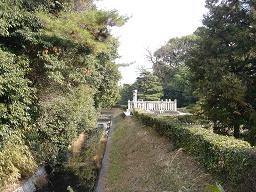 f0000521_724211.jpg