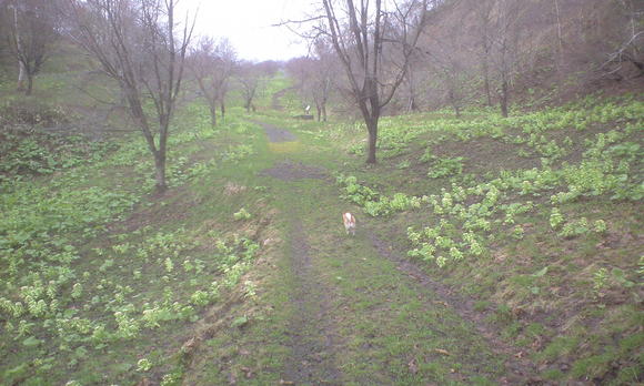 e0227023_23183867.jpg