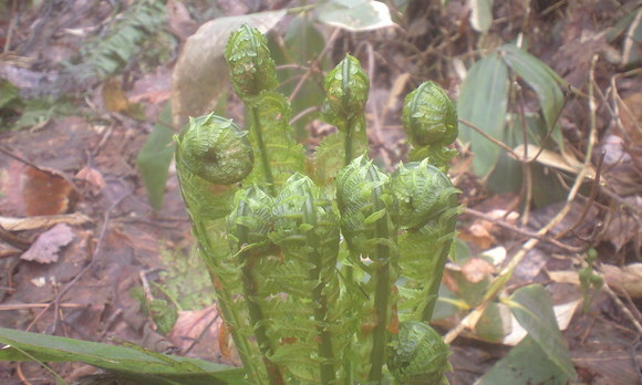 e0227023_23192173.jpg