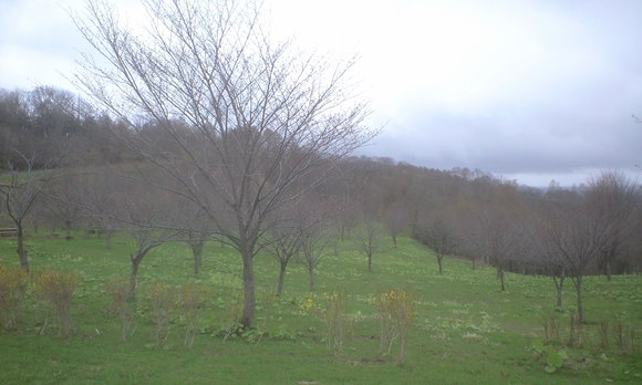 e0227023_23194155.jpg
