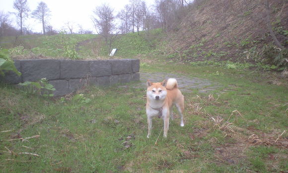 e0227023_23323227.jpg
