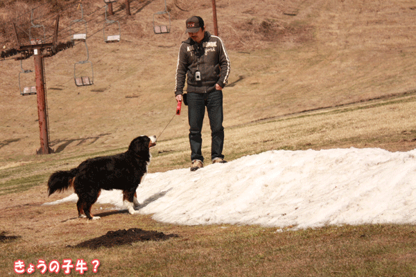 f0203423_16362915.gif