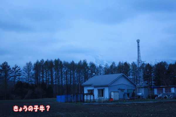 f0203423_17251381.gif