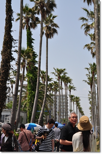 d0082628_0371240.jpg