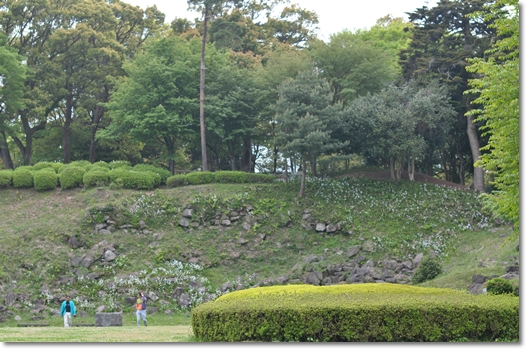 d0082628_2395696.jpg