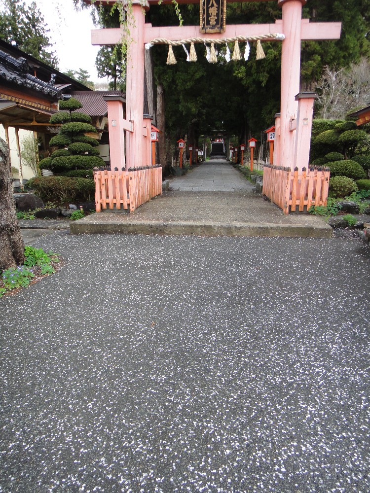 c0111229_1849573.jpg