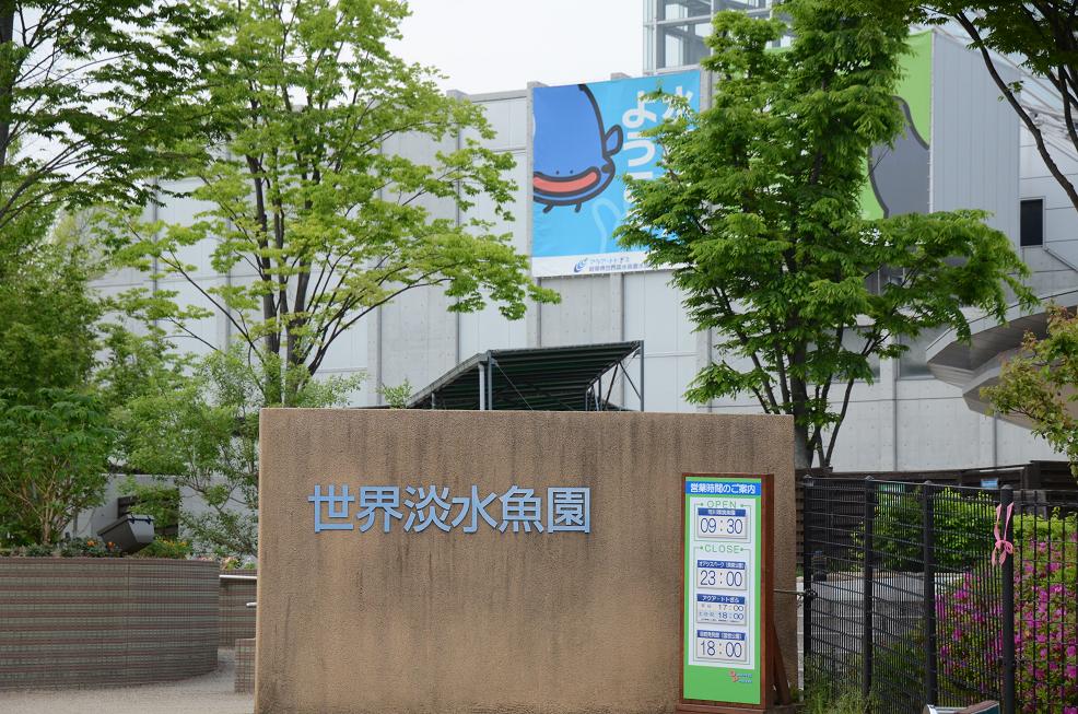 f0124830_16435399.jpg