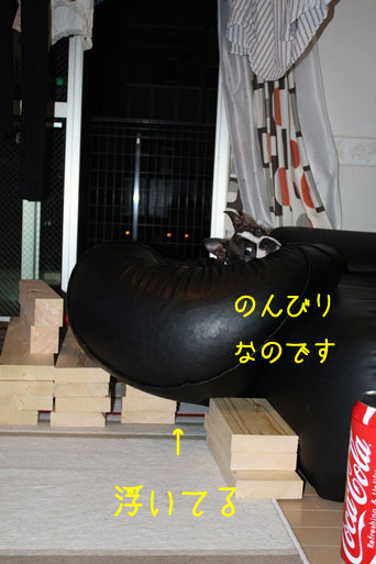 a0190132_23222098.jpg