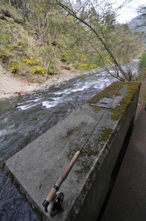 c0133133_22191442.jpg