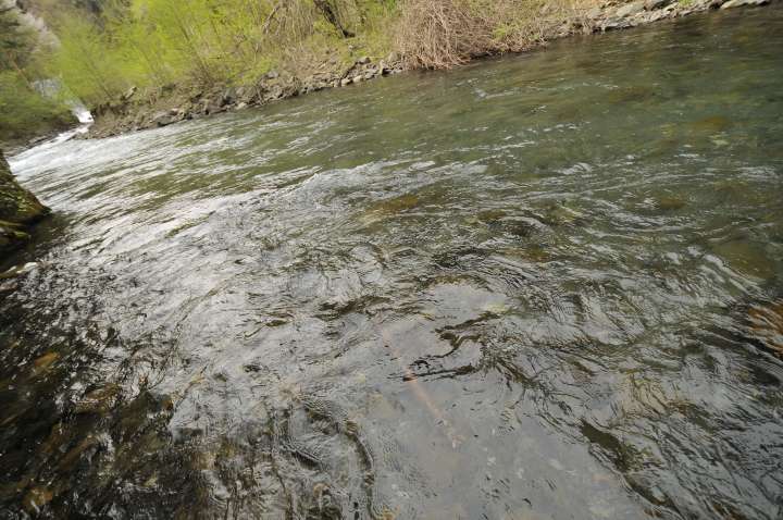 c0133133_22193152.jpg