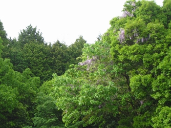 c0134734_2216594.jpg
