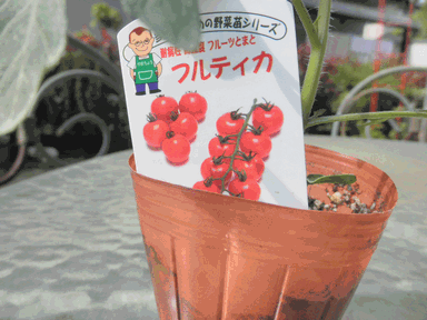 c0136736_14131836.gif