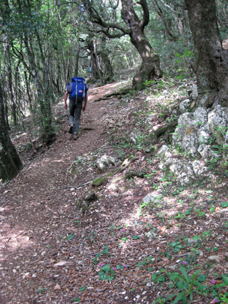 f0234936_5454767.jpg