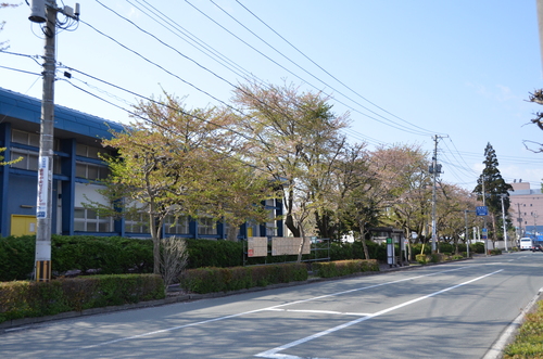 d0156438_1158283.jpg