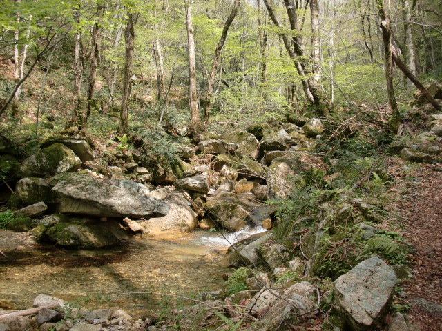 e0110940_0125319.jpg