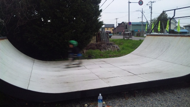 d0190142_13541181.jpg
