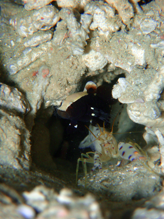 f0014842_17342642.jpg