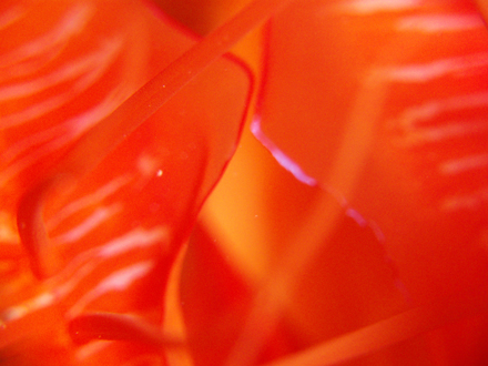 f0014842_1735240.jpg