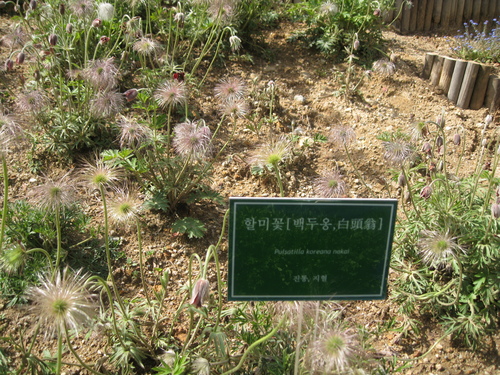 c0145449_22112722.jpg