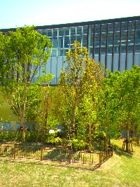 c0171349_10355935.jpg