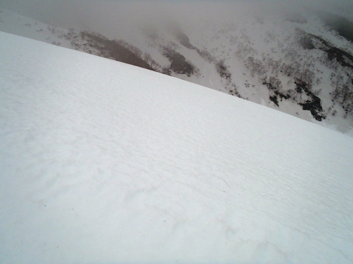 f0225953_15554819.jpg