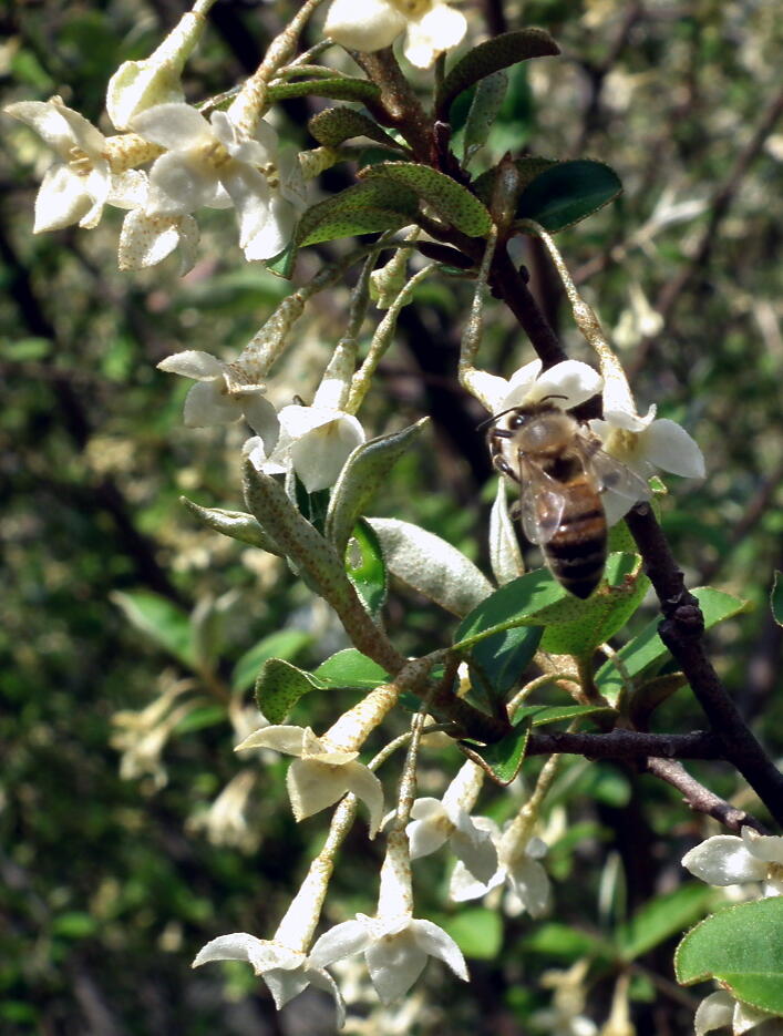 e0064158_23333435.jpg