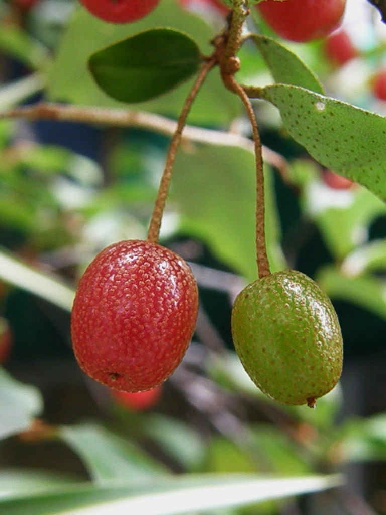e0064158_23355693.jpg