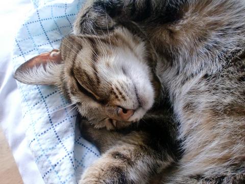 c0172261_2257613.jpg