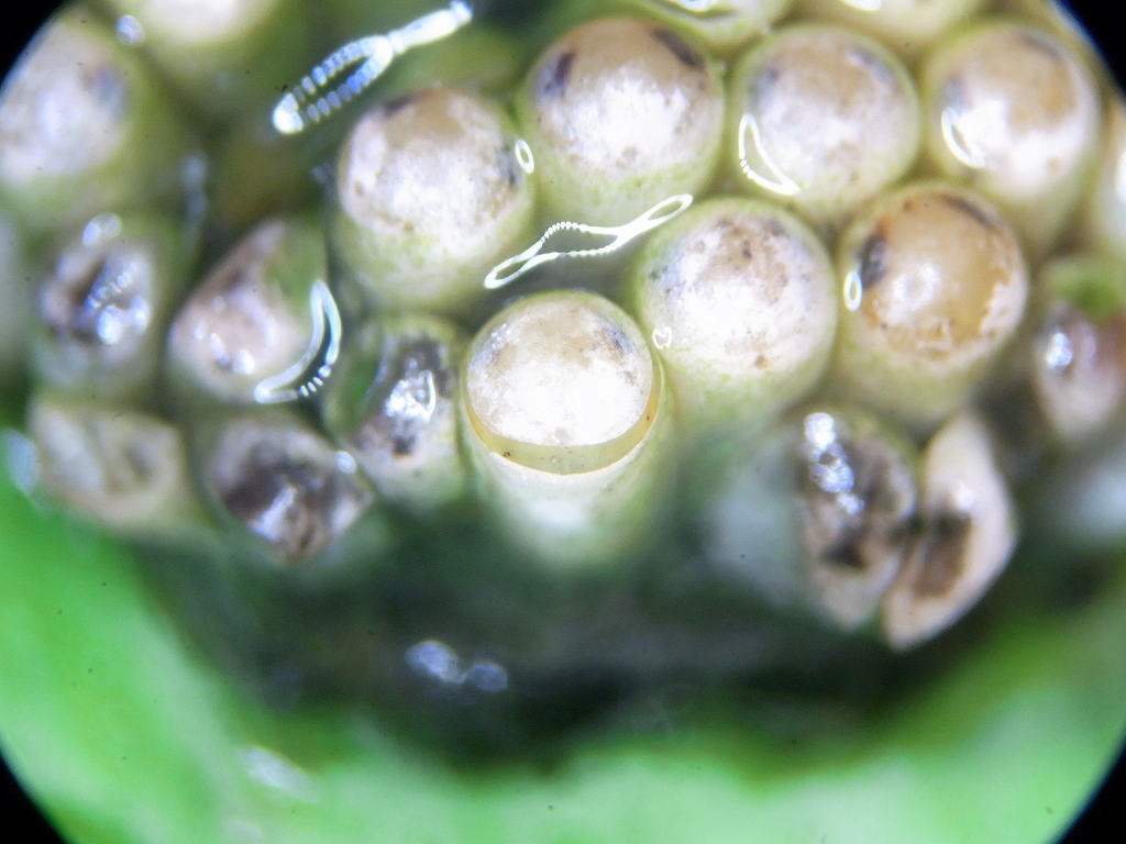 c0142963_225732.jpg