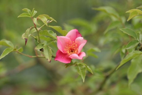 c0186463_0183057.jpg