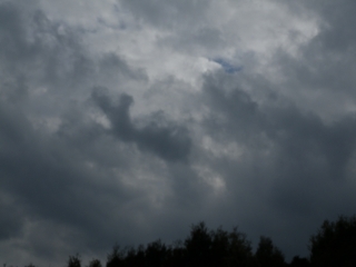 f0055264_21491317.jpg