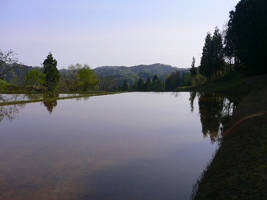 b0079965_7233733.jpg