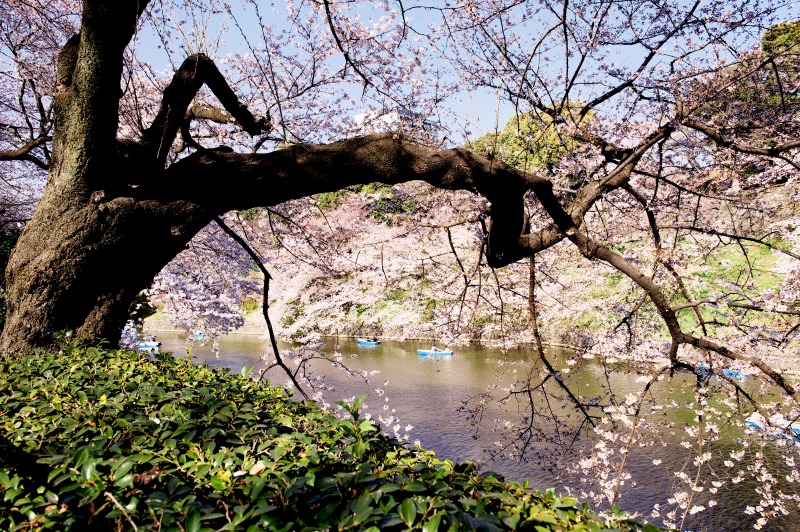 b0131167_1922311.jpg