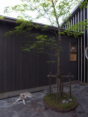 c0166668_101793.jpg