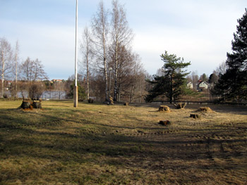 c0153569_2455889.jpg