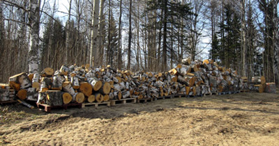 c0153569_2504328.jpg