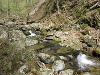 d0134473_15261551.jpg