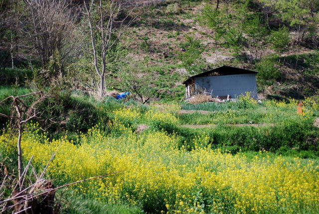 a0158478_8572120.jpg