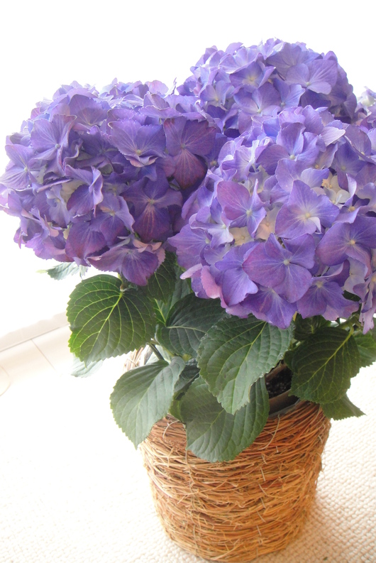 e0199080_13541072.jpg