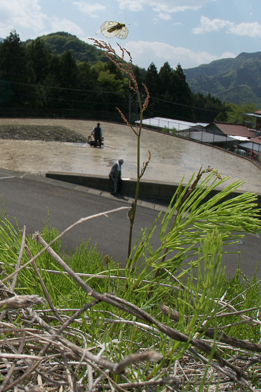 f0090680_22211248.jpg