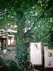 a0062983_10354911.jpg