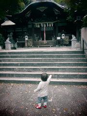 a0062983_845298.jpg