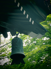 a0062983_9104277.jpg