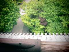 a0062983_913594.jpg