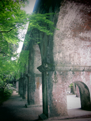 a0062983_918515.jpg
