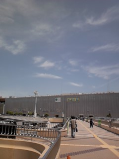 d0157784_1665187.jpg