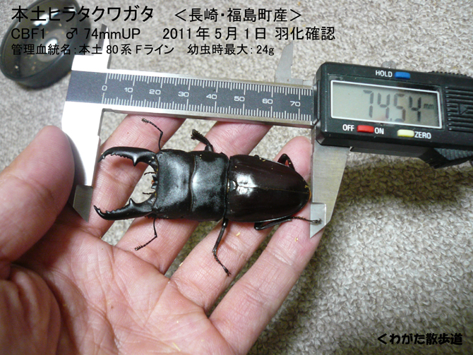 f0183484_17532893.jpg