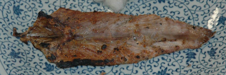 c0170789_7581315.jpg