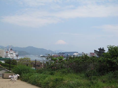 b0104592_1714646.jpg